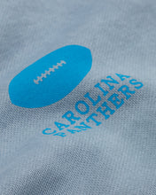 Load image into Gallery viewer, L&amp;L – NFL Classics Panthers – ’96 Box Sweater gray
