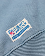 Load image into Gallery viewer, L&amp;L – NFL Classics Panthers – ’96 Box Sweater gray
