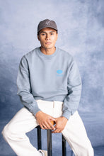 Load image into Gallery viewer, L&amp;L – NFL Classics Panthers – ’96 Box Sweater gray
