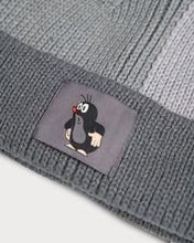 Load image into Gallery viewer, L&amp;L – Maulwurf Perplex – &#39;30 Docker Beanie gray
