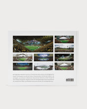 Load image into Gallery viewer, TPG – Reinaldo Coddou H. – Fussballtempel
